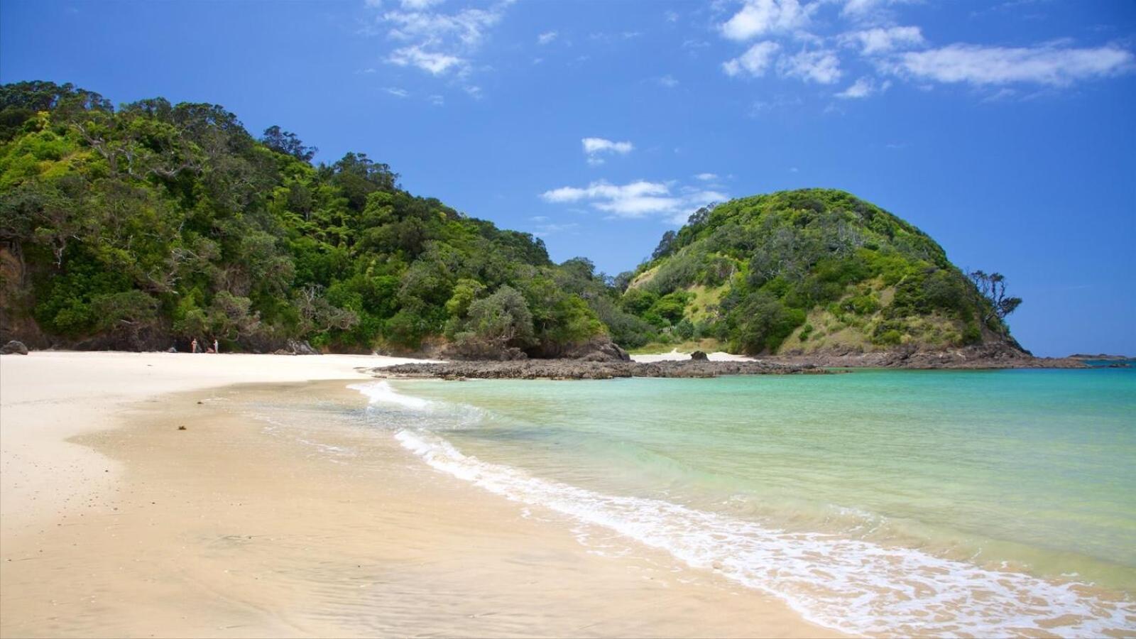 Bk'S Pohutukawa Lodge Whangarei Εξωτερικό φωτογραφία
