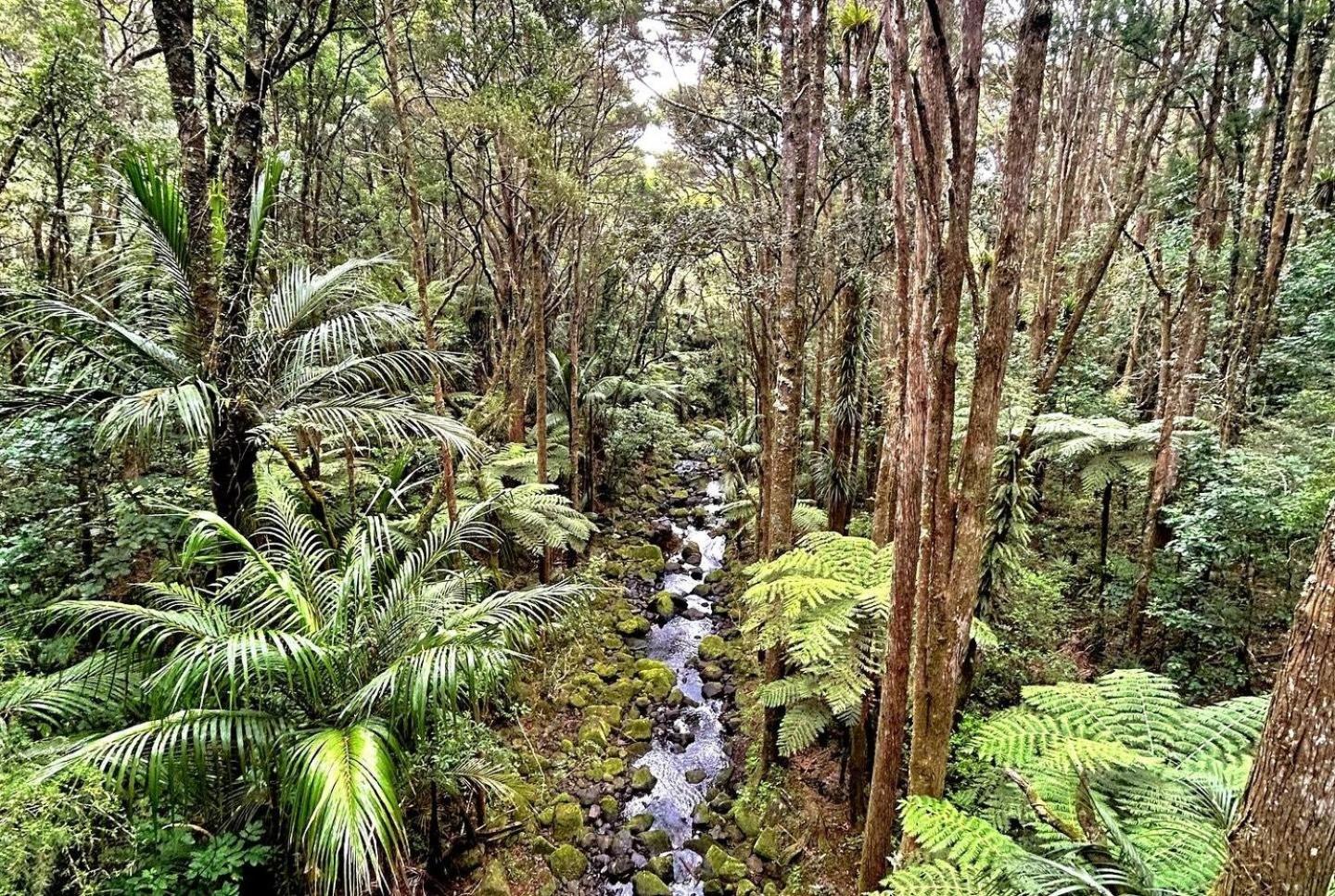 Bk'S Pohutukawa Lodge Whangarei Εξωτερικό φωτογραφία